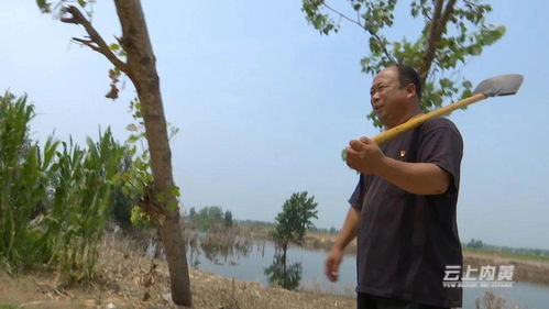 老驥伏櫪,永恒初心 記內(nèi)黃縣二安鎮(zhèn)大劉村黨支部書(shū)記馬文忠