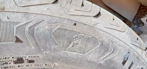 【飛足陪伴的樂(lè)趣】老驥伏櫪的老軒之翼