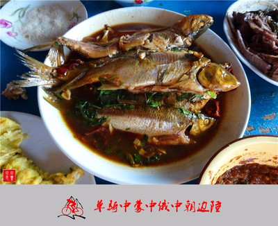 老驥伏櫪,志在千里,單騎中蒙中俄中朝邊陲。