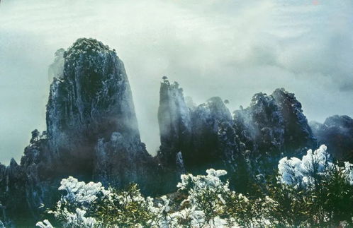 天人影像專訪 劉學(xué)玉 老驥伏櫪,志在千里,為地方攝影事業(yè)發(fā)揮余熱